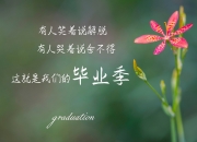 开云体育官网-当烽火点燃安第斯之巅，2026世界杯A组焦点战，内马尔与厄瓜多尔联袂演绎史诗级盛筵