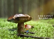开云平台-多瑙河之夜，日耳曼战车绝命狂飙，那个替补奇兵，为贝林厄姆的封神之战写下最疯狂注脚