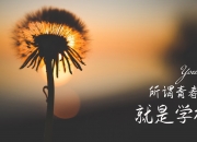 开云体育官网-节奏之刃，巴雷拉与比利时在2026世界杯G组的唯一应答