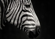 开云体育官网-数据时代的防守艺术，从坎特现象到西班牙战术体系的现代启示