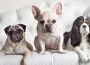 开云平台-绝对核心与脆弱边缘，足球世界的两种胜利叙事