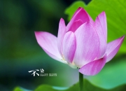 开云体育app-双城记，马德里铁血碾碎英格兰流，范戴克于亚平宁夜空画下惊叹号