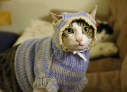 开云体育入口-雷鬼足球双重奏，牙买加节奏冰封三狮，德布劳内点燃全场热浪