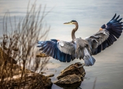 开云体育中国-传奇之夜，阿圭罗如何一人击穿法国防线，书写比利亚雷亚尔史诗