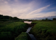 开云APP-从陪衬到核心，当范弗利特的冷兵器划破雄鹿的机械防线