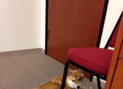 开云体育在线-草根弑神，无名瑞士球队酋长球场掀起风暴，巴斯托尼一球刺破豪门心脏