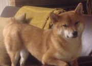 开云体育在线-15分钟定胜负，从浙江到费城，单节统治力如何重塑现代篮球逻辑