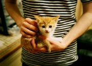 开云体育APP下载-矛的独舞，盾的协奏，欧文神迹难敌勇士流动的城墙