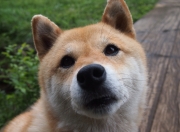 开云体育入口-德布劳内终场绝杀，曼城惊险击败克罗地亚