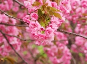 开云体育APP下载-次元壁破裂？当辽宁队强压奇才的想象与可能