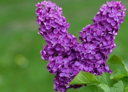 开云体育-势不可挡！南非强势压制安哥拉，努涅斯统治赛场