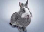 开云体育app-超越剧本，瑞典的精密与维尼修斯的火焰—不可复制的光辉时刻