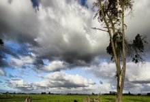 开云体育官网-南美巨兽统治英超！凯塞多打出恐怖数据，哥伦比亚风暴席卷阿森纳