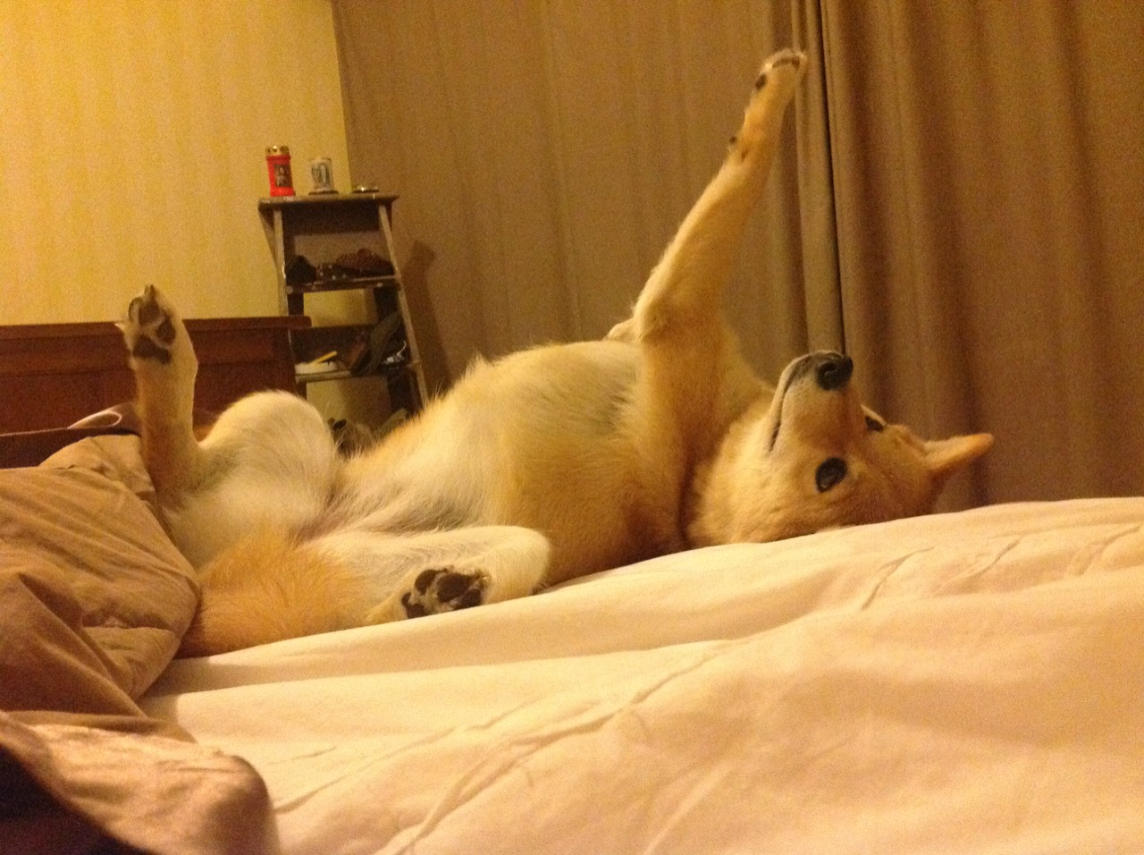 焦点烽火，双线燃爆—从意甲天王山到CBA火力压制