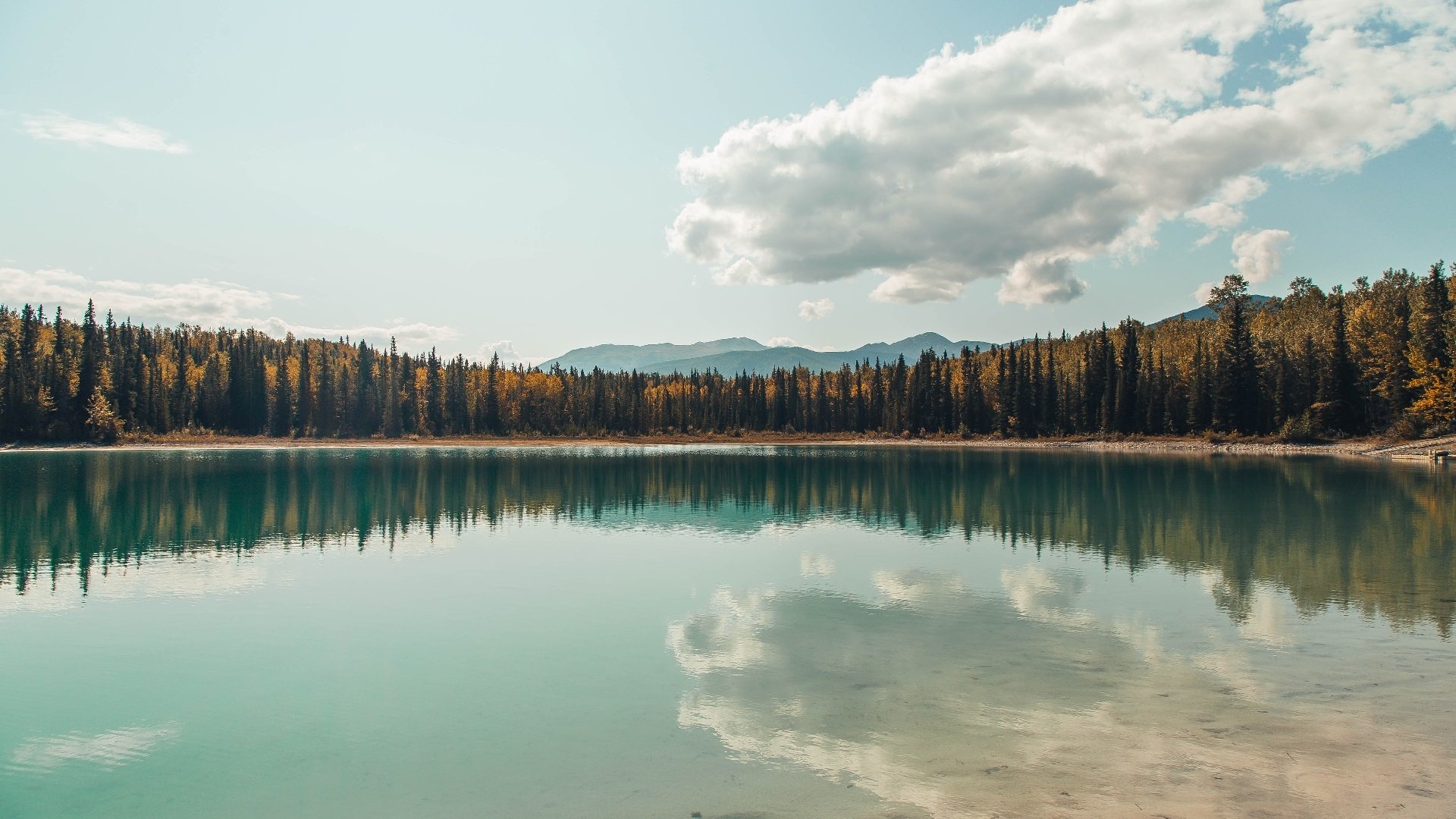 极夜之光，当拉亚的指尖划破巴黎的夜空
