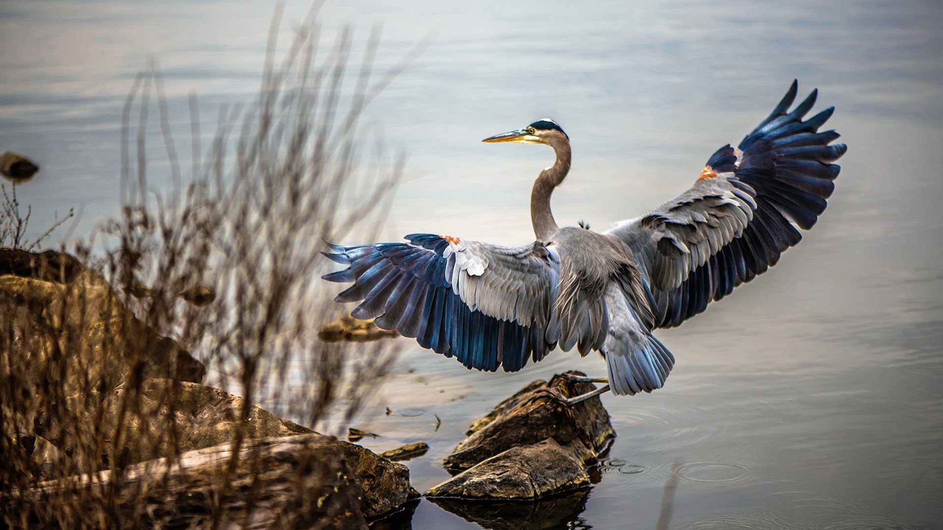 神明退位之夜，当帕尔默撕碎所有争议