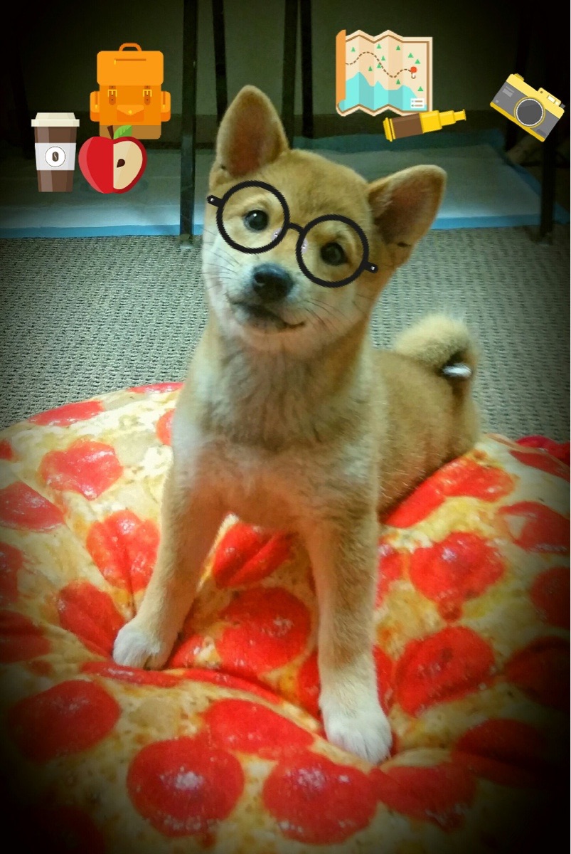 绿翼风暴,帕尔默的指挥官之舞与爱尔兰的压倒性胜利