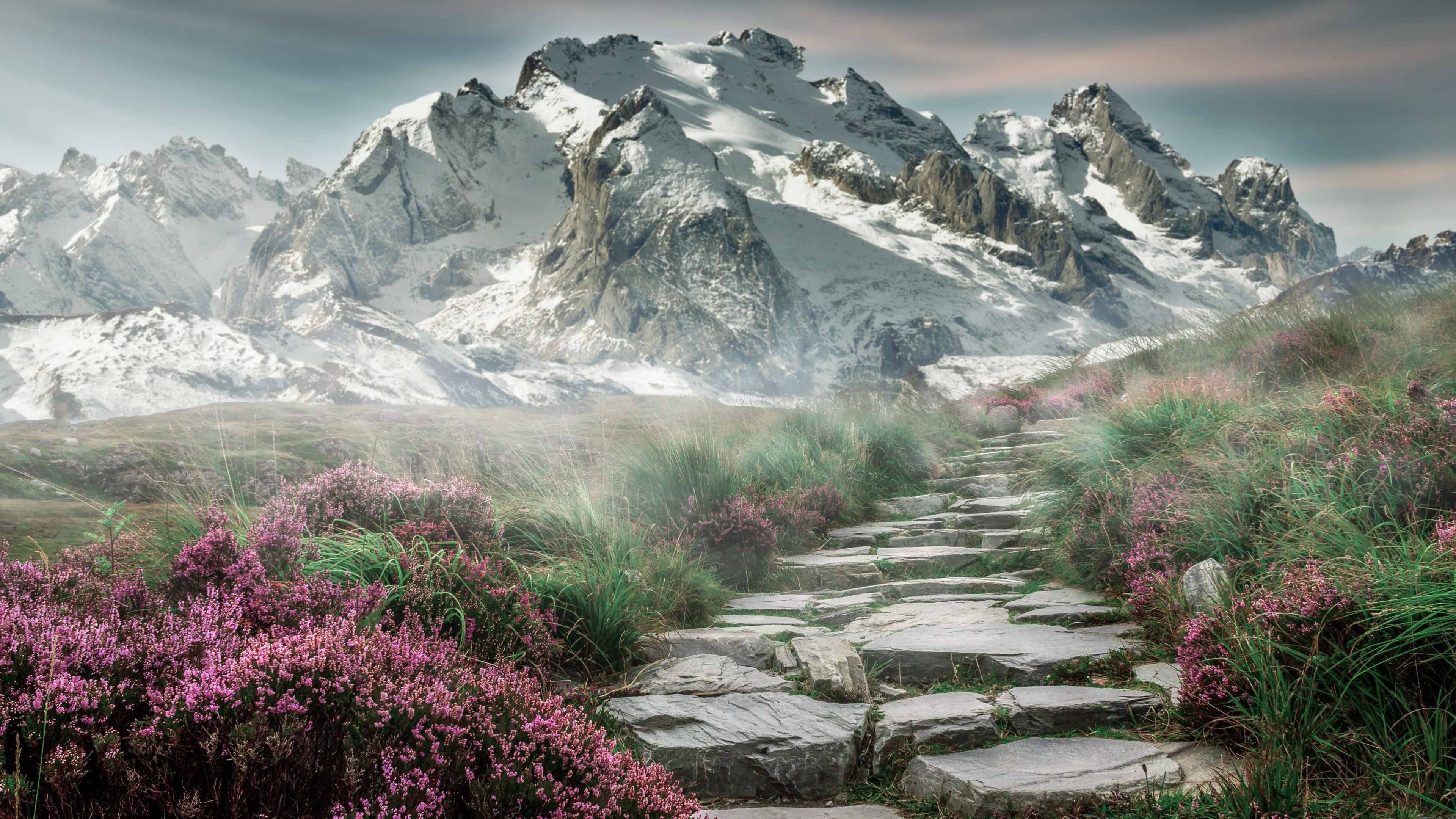 绿茵场上的双重奏,基米希的统治力与伊朗的闪电战