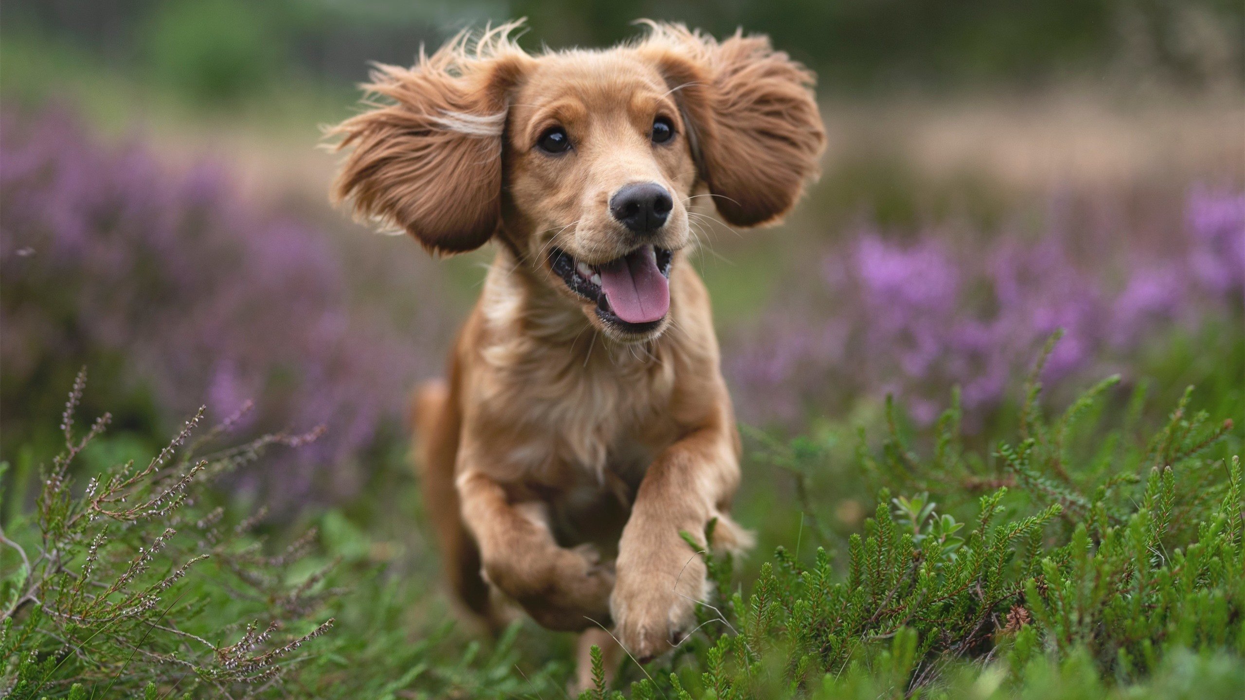 防线如铁，纪录如雨，攻防的两种极致表达