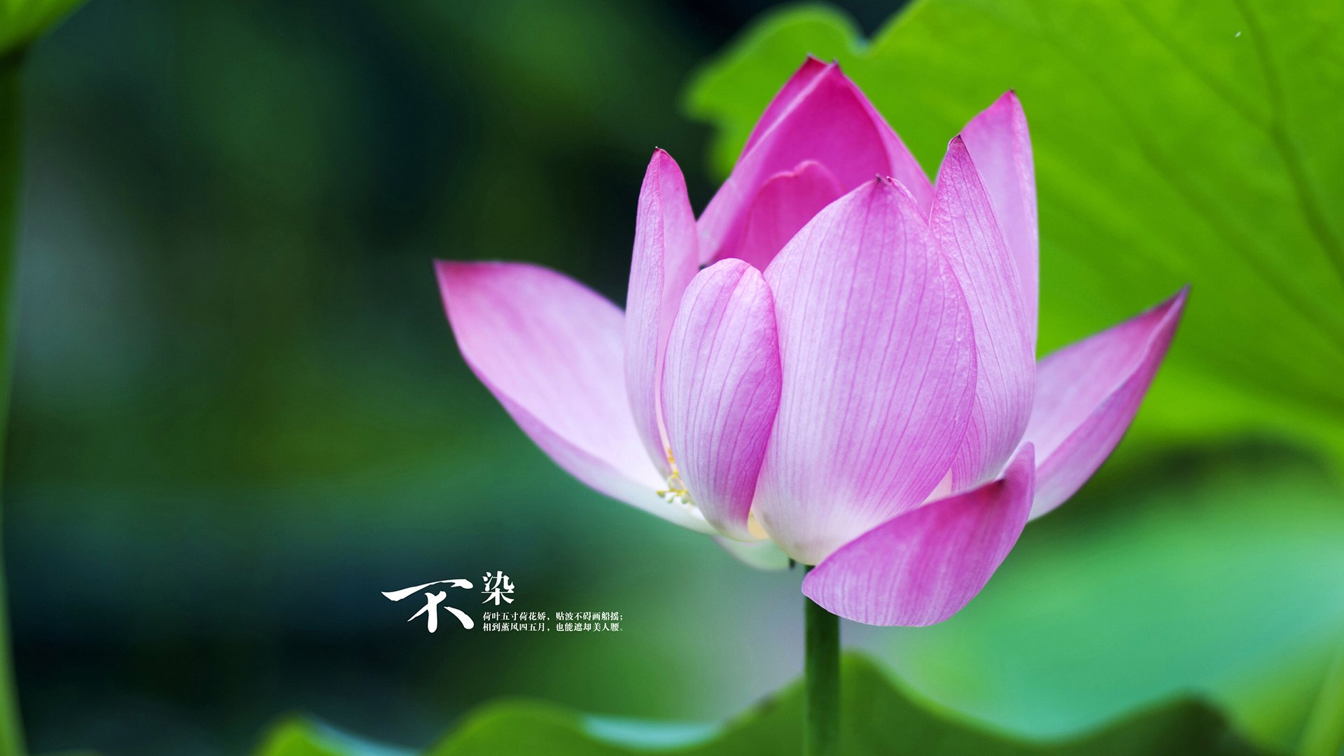 双城记，马德里铁血碾碎英格兰流，范戴克于亚平宁夜空画下惊叹号