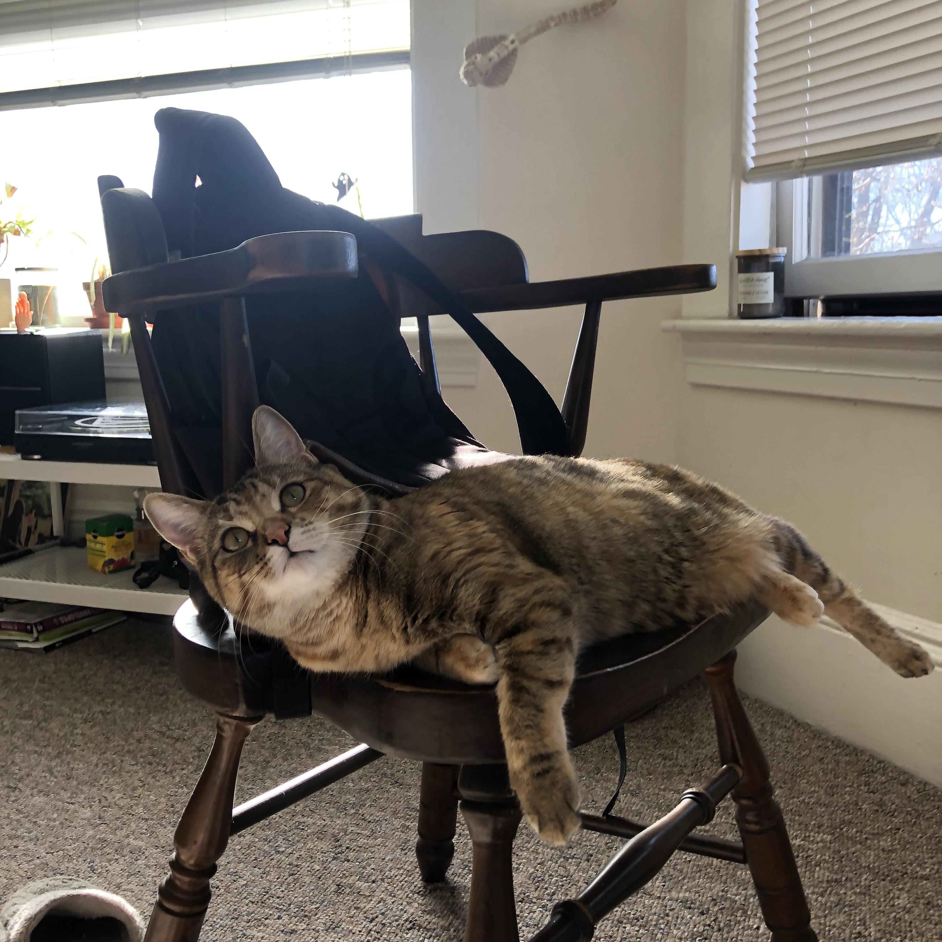 双城记，哈利伯顿的魔法觉醒与勇士老牌帝国的黄昏叙事