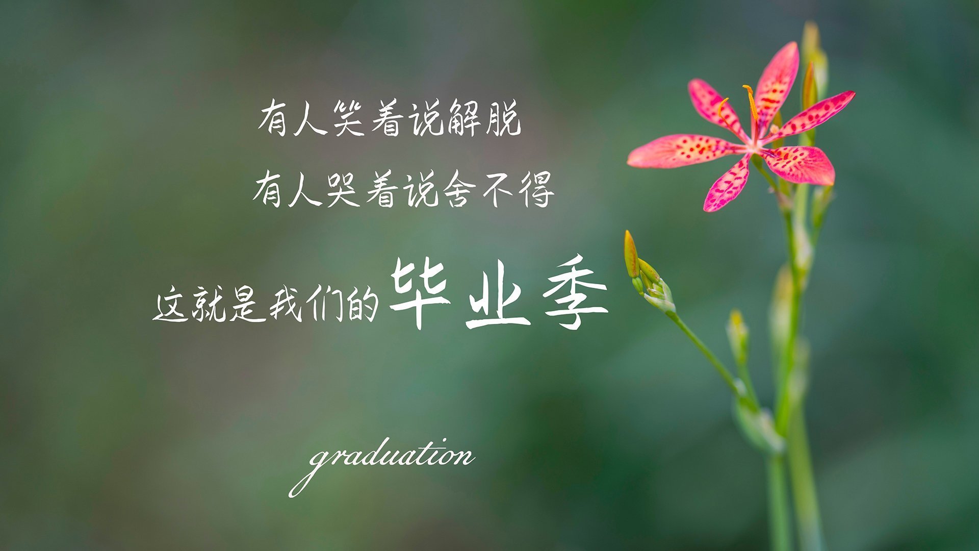 虚构事件分析，阿拉巴爆发与亚特兰大对阿尔及利亚的封锁，一场被掩盖的绿色能源危机