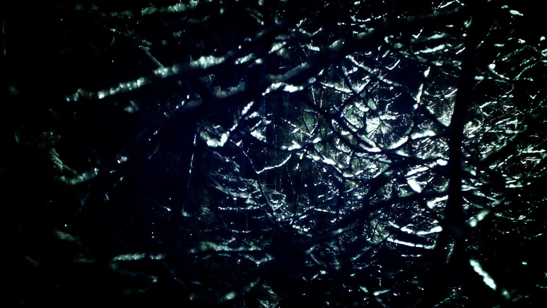 莫兰特跨界爆发，热火对阵广厦，他用实力点燃全球篮球梦