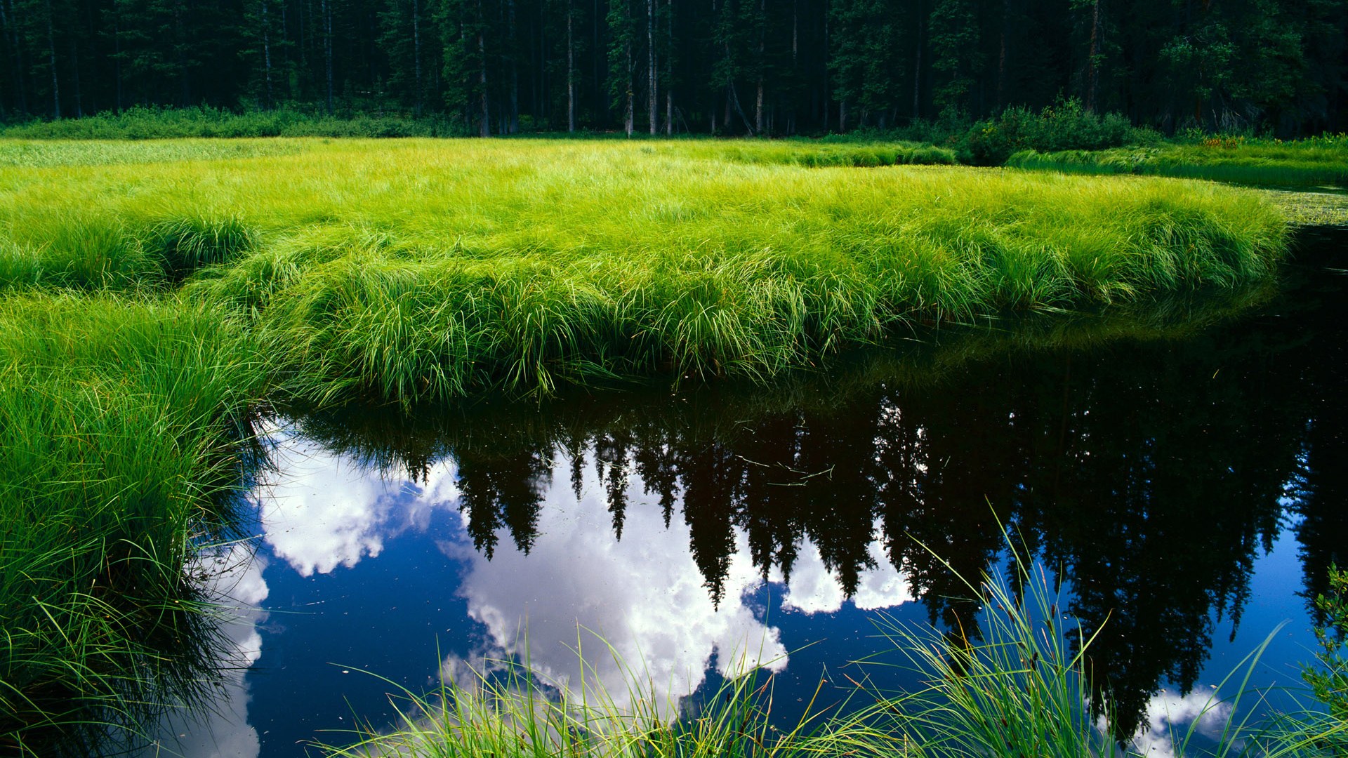 哈利伯顿战斧式三双引领，篮网稳稳拿下广厦展现冠军相