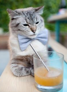 死亡抢断+魔鬼罚球!新疆铁血终结深圳,米切尔扼杀11.8秒奇迹