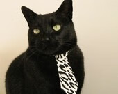 福登的南极光，当南十字星照亮阿尔卑斯的雪