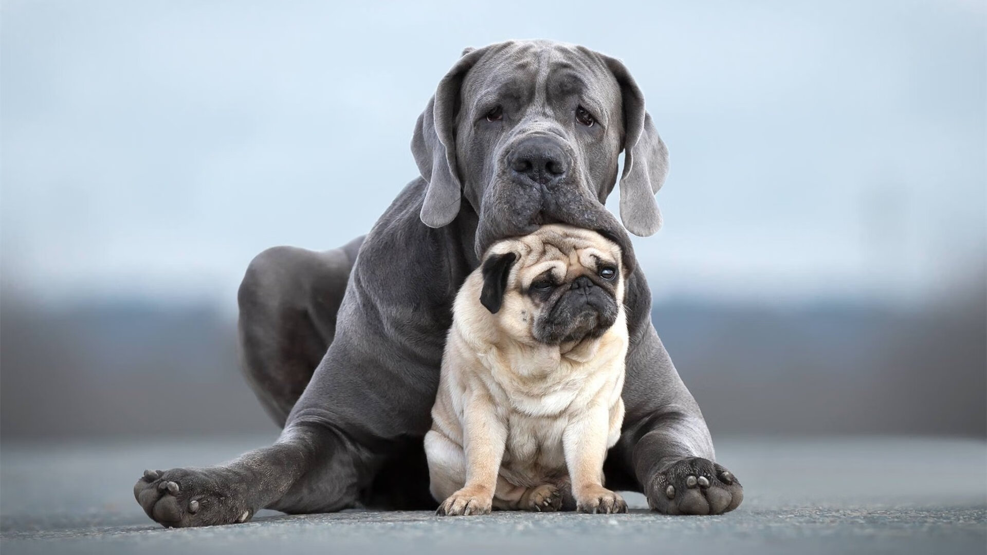 七尺刺客刺破雷霆！文班亚马关键封盖导演绿军爆冷，新生代崛起之战