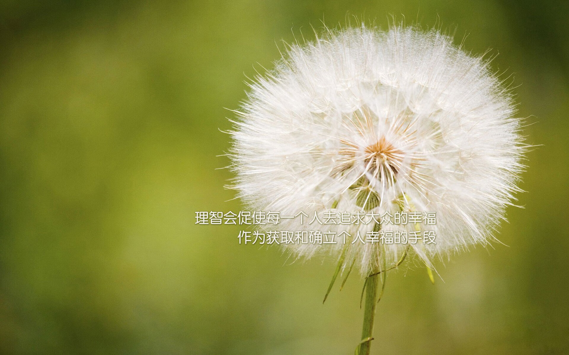 铁锁横江，当若日尼奥在澳大利亚对阵瑞典的比赛中筑起叹息之墙