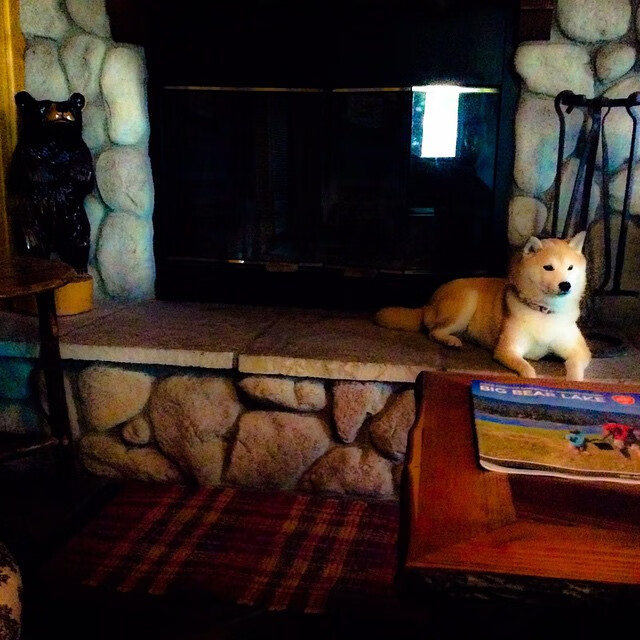 星空下的棋手,楚阿梅尼与美加墨之夜那脚不容置疑的裁决