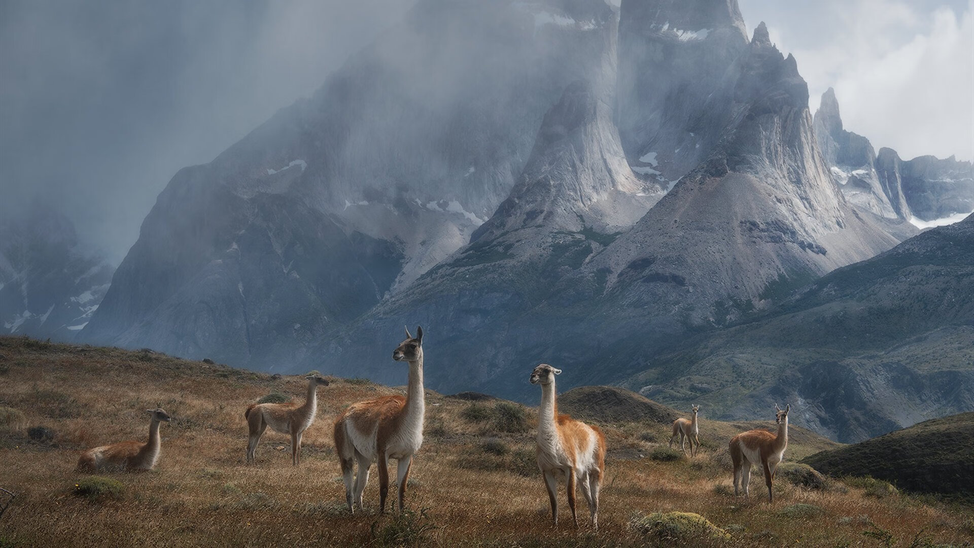 他不是魔术师，却打出最魔幻比赛，贝恩用失控的节奏，打穿开拓者铁壁