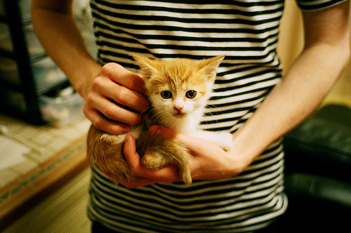 矛的独舞，盾的协奏，欧文神迹难敌勇士流动的城墙