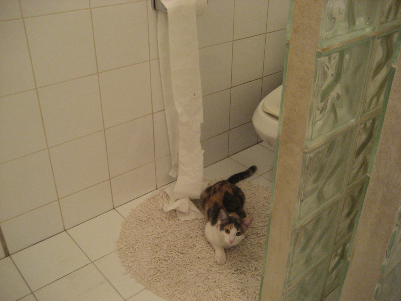 巨星闪耀与绝杀交响,当字母哥统治球场,火箭上演终极逆袭