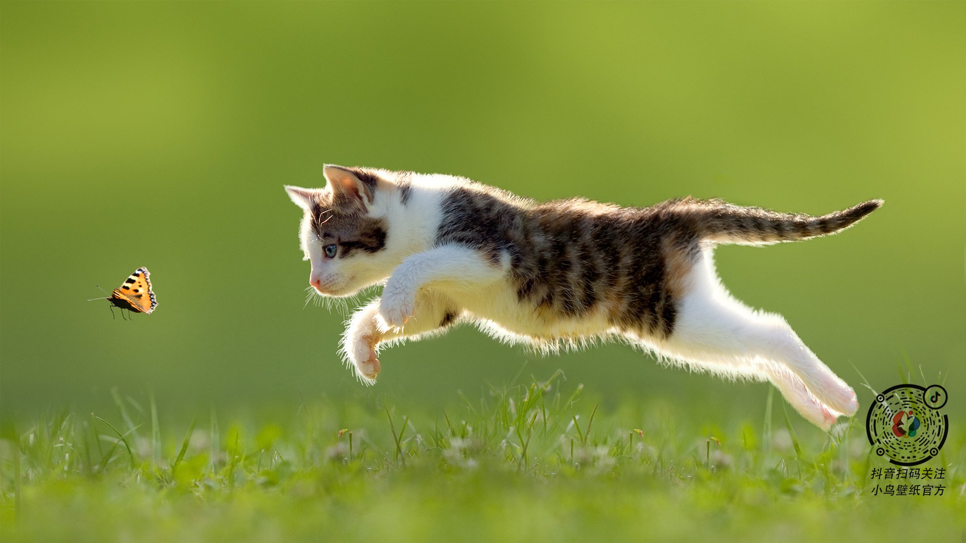 从基多高原到路易二世，德布劳内如何让每一种舞台成为他的主场