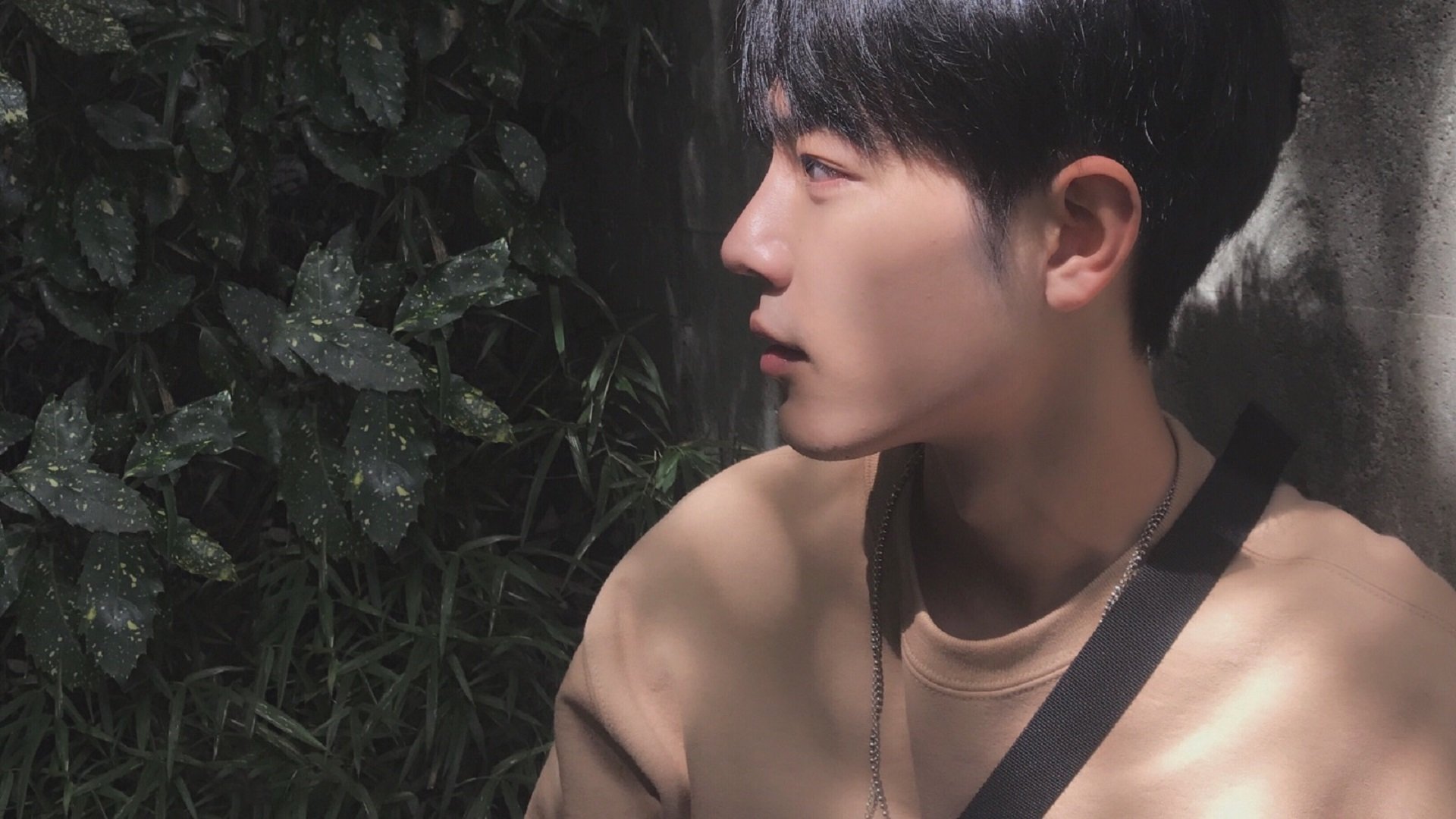 防守的艺术，武切维奇如何用铜墙铁壁助掘金收割爵士