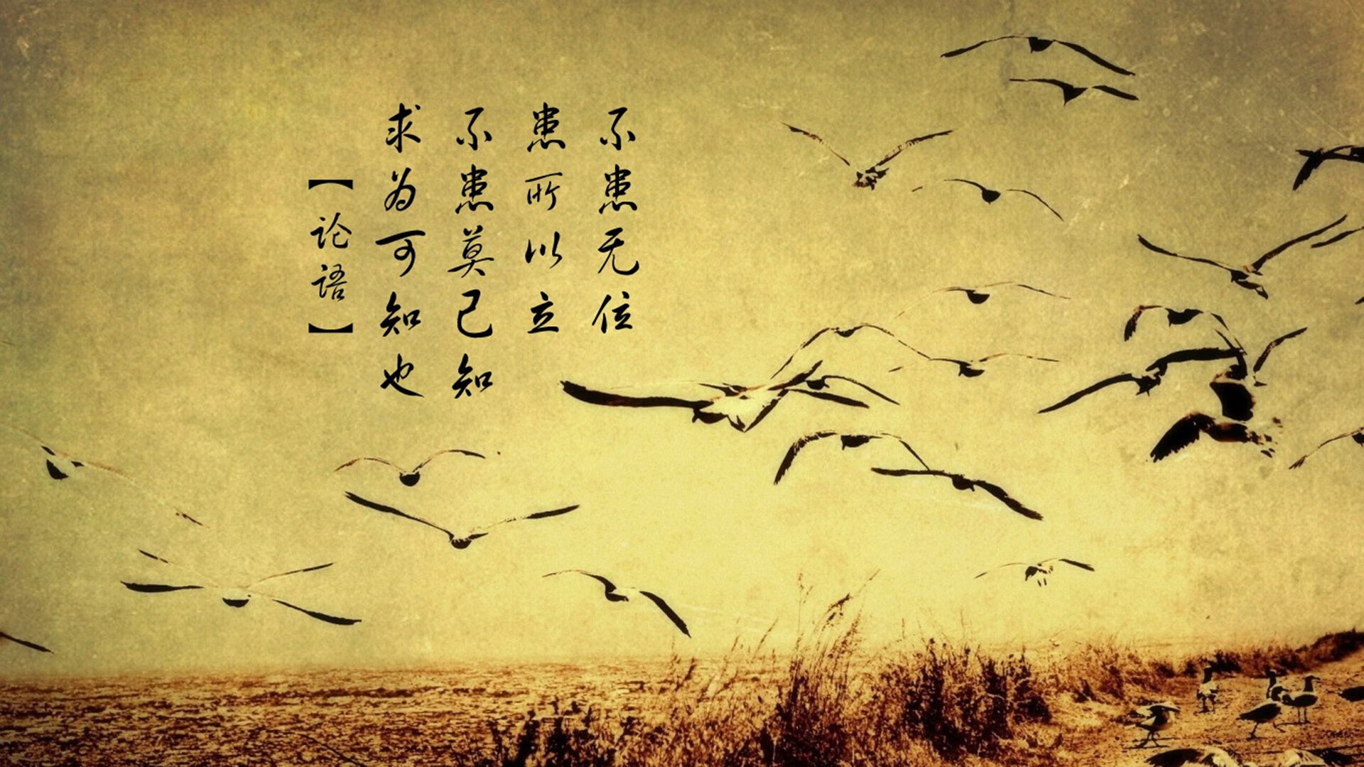 迪亚斯天外飞仙定乾坤！尼斯鏖战力克强敌，挪威风暴成争冠X因素