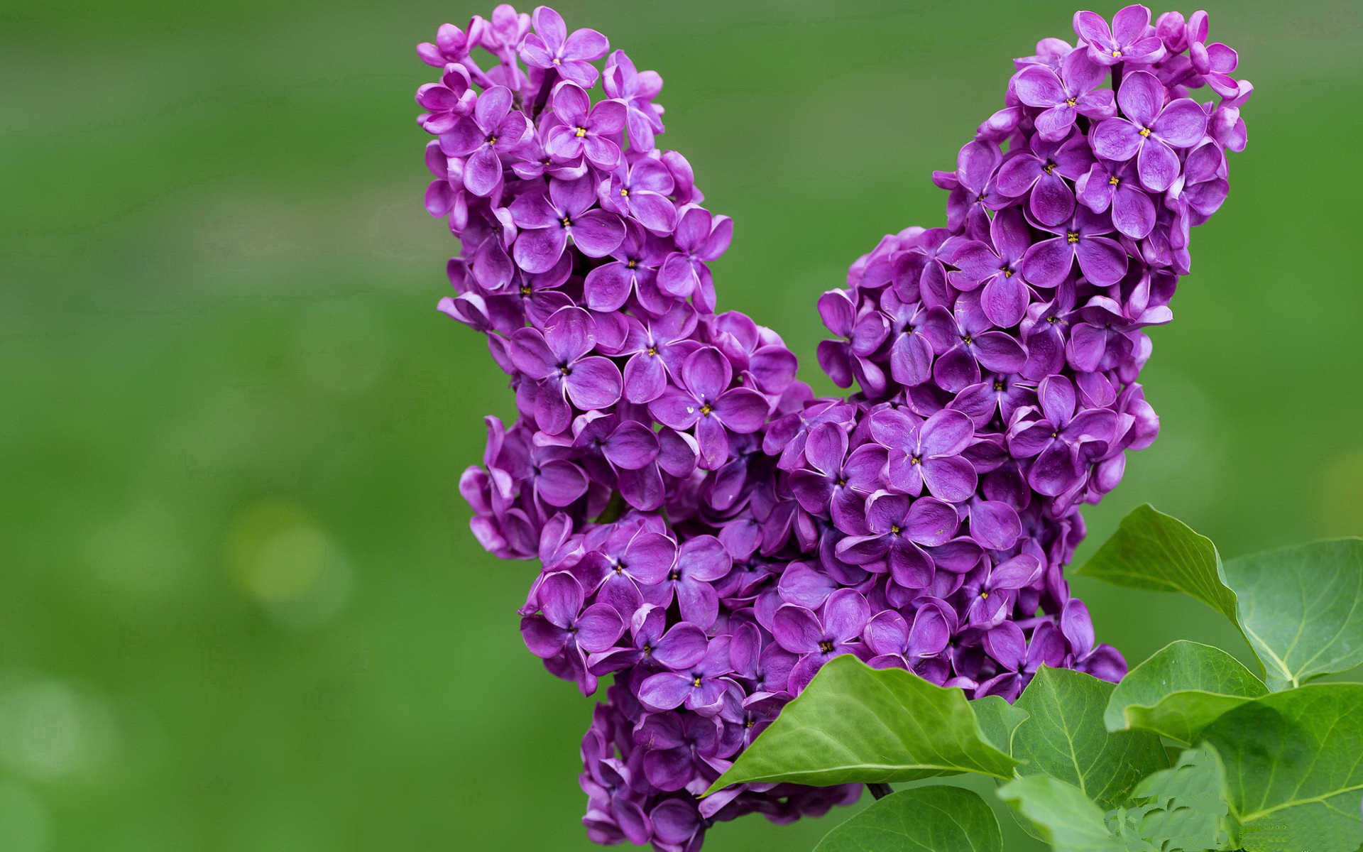 势不可挡！南非强势压制安哥拉，努涅斯统治赛场