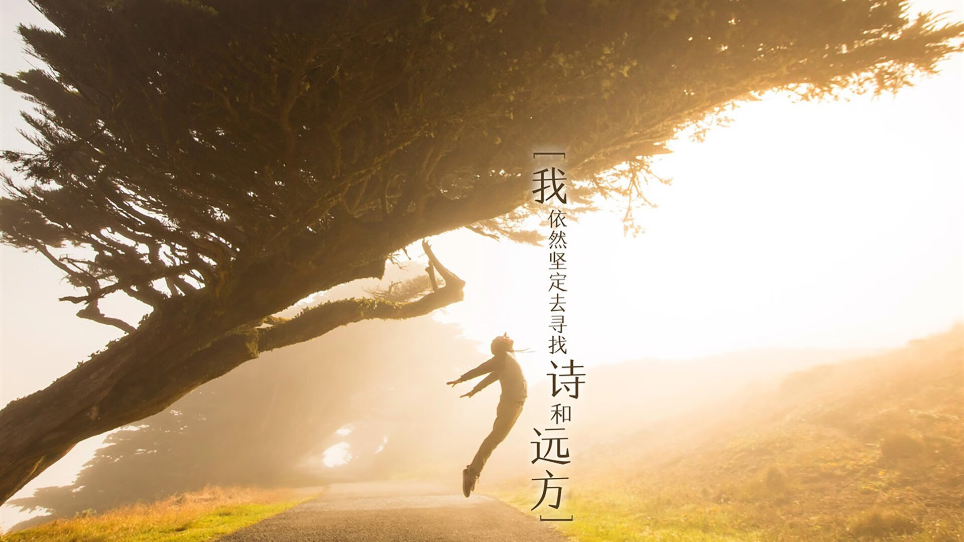 蓝白巨人的异乡独白,当巴雷拉将阿根廷的灵魂,镌刻在巴黎的凯旋门上