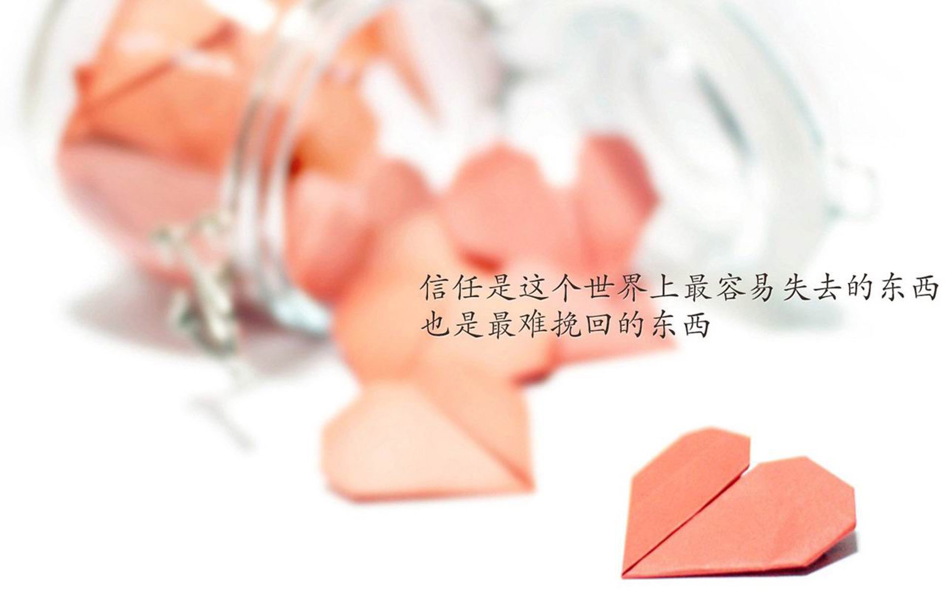 孤注一掷的征服,2026世界杯H组生死战,佩德里魂穿哈维,韩国太极鞭横扫匈牙利