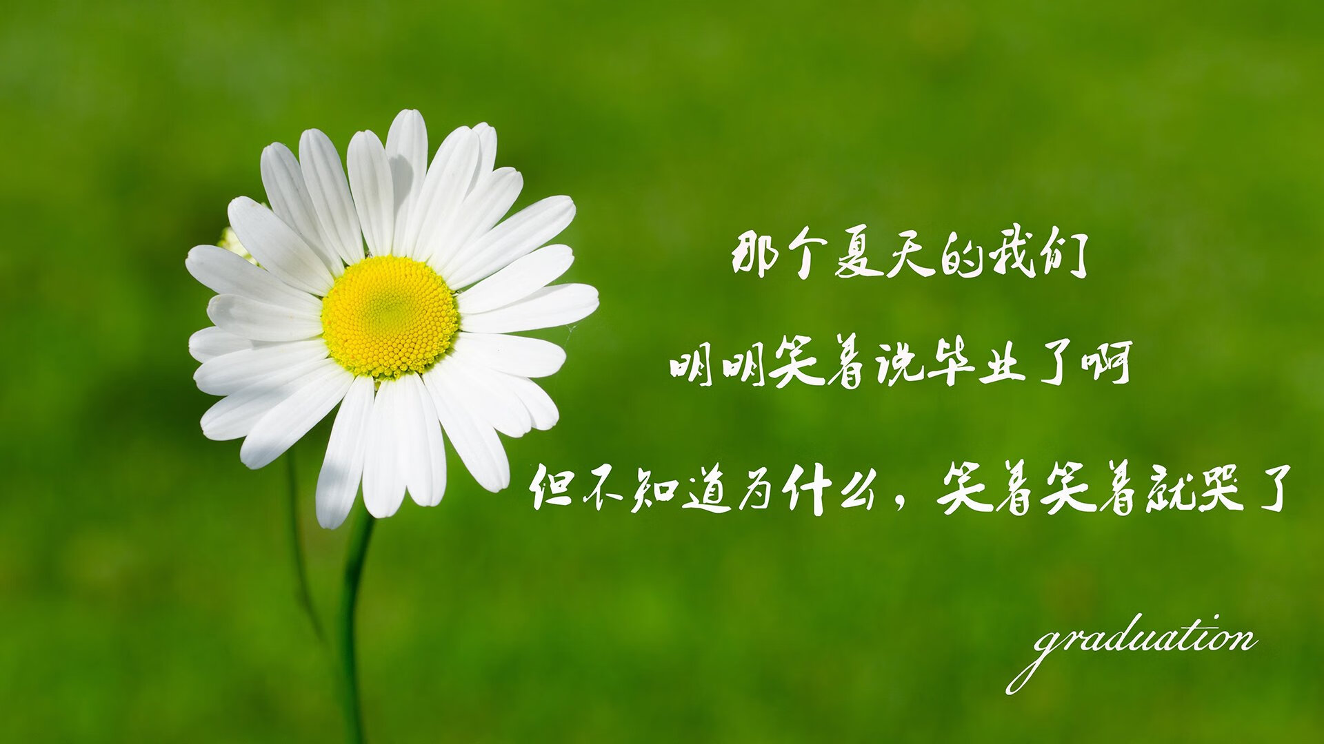 孤注一掷，2026世界杯巅峰对决，匈牙利史诗逆转加纳，萨卡一剑封喉