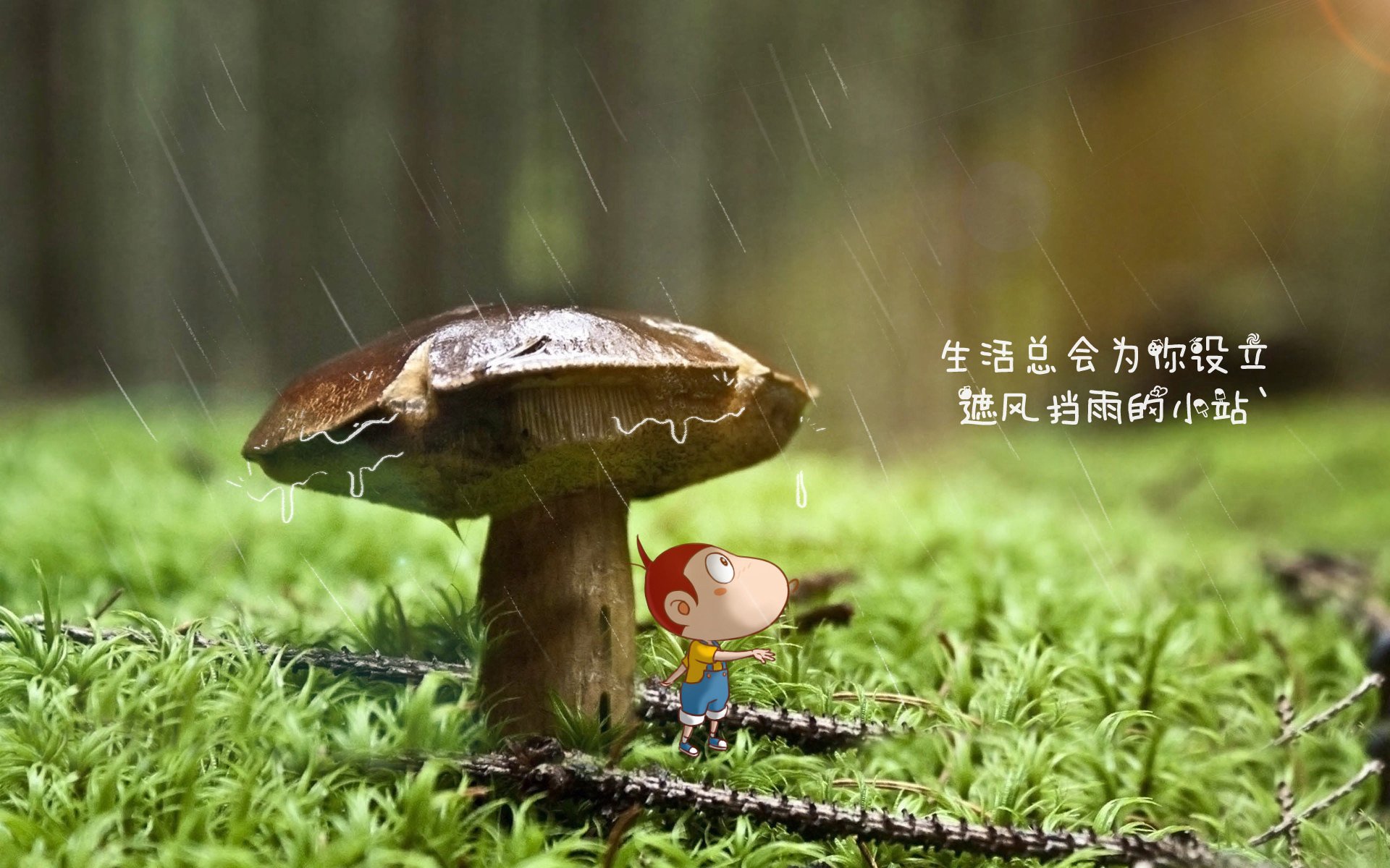 多瑙河之夜，日耳曼战车绝命狂飙，那个替补奇兵，为贝林厄姆的封神之战写下最疯狂注脚