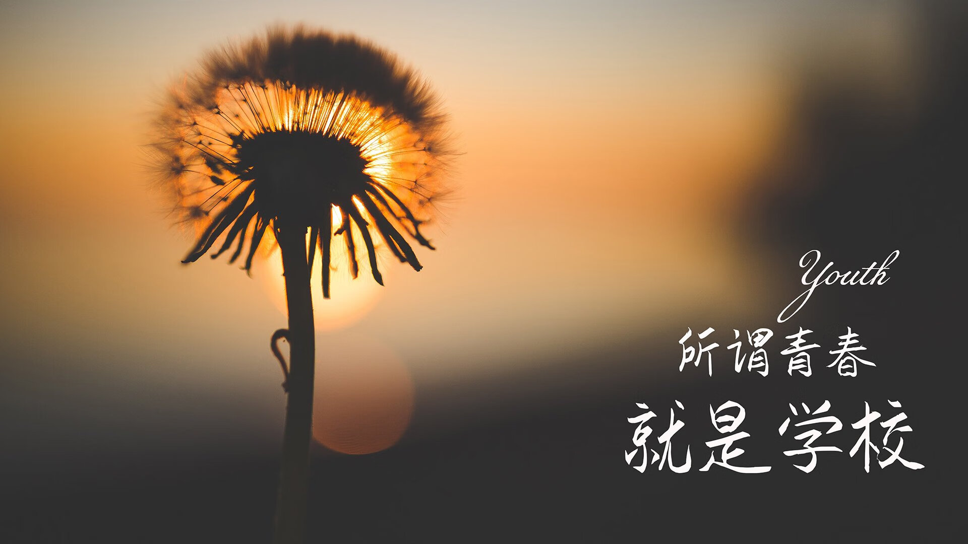 节奏之刃,巴雷拉与比利时在2026世界杯G组的唯一应答